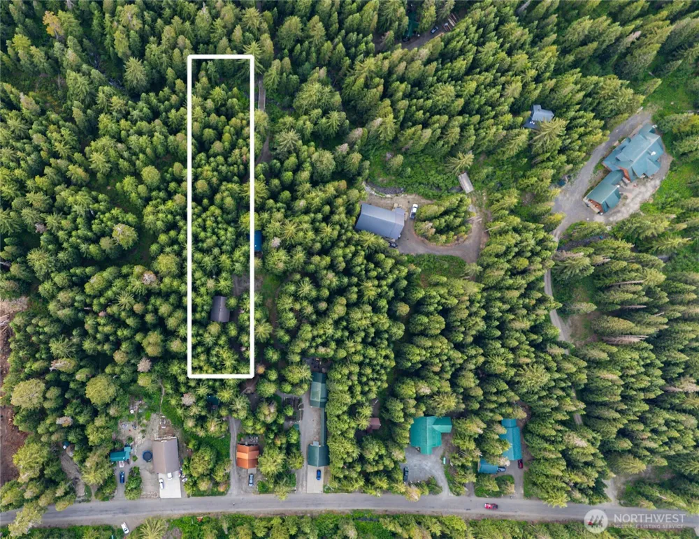 81 Snow Cabin Place Snoqualmie Pass, WA 98068