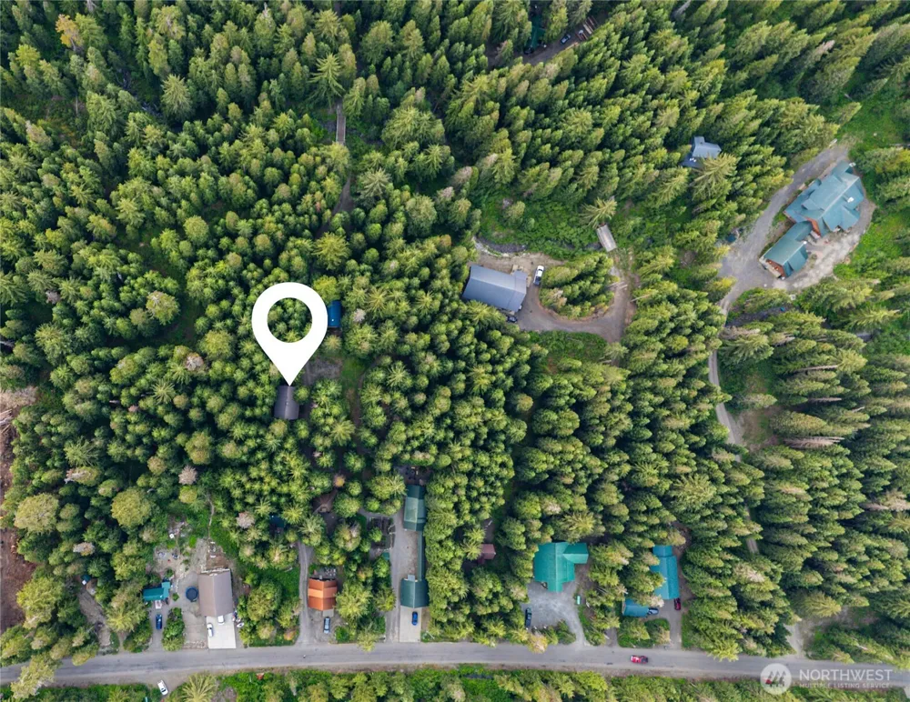 81 Snow Cabin Place Snoqualmie Pass, WA 98068