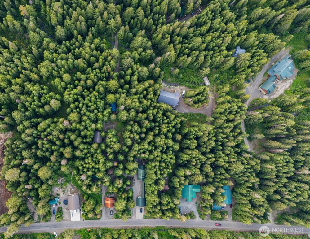 81 Snow Cabin Place Snoqualmie Pass, WA 98068
