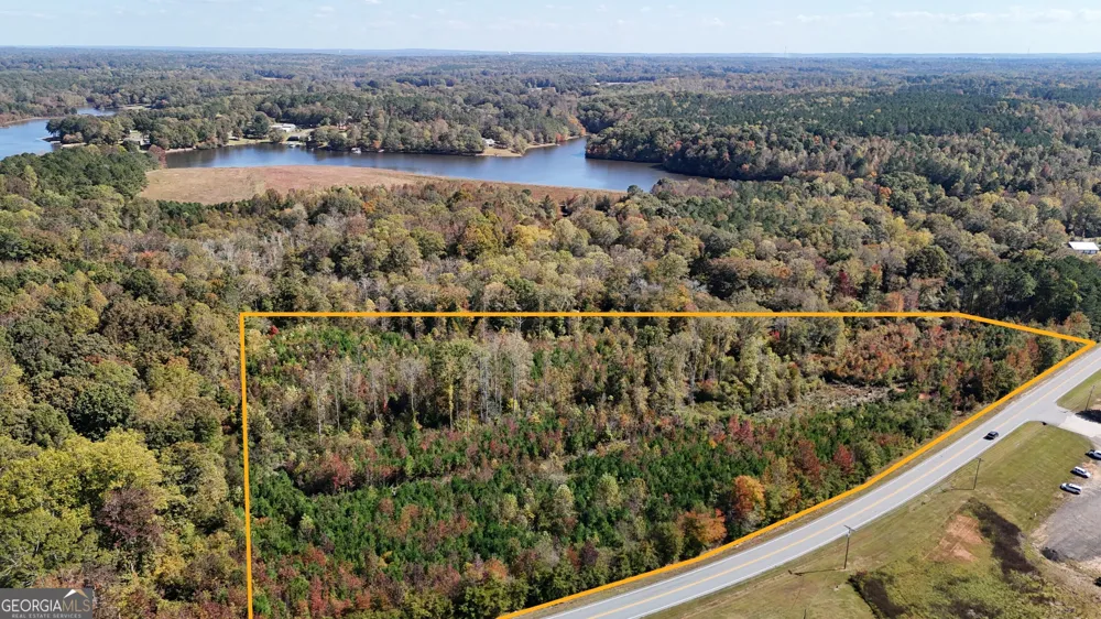 0 HWY 100 Bowdon, GA 30108