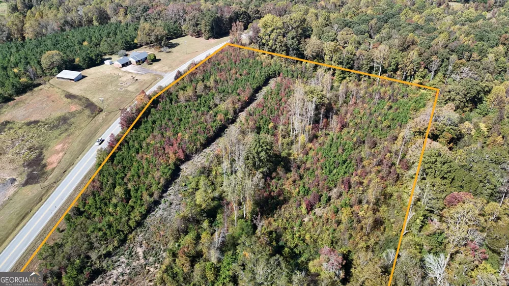 0 HWY 100 Bowdon, GA 30108