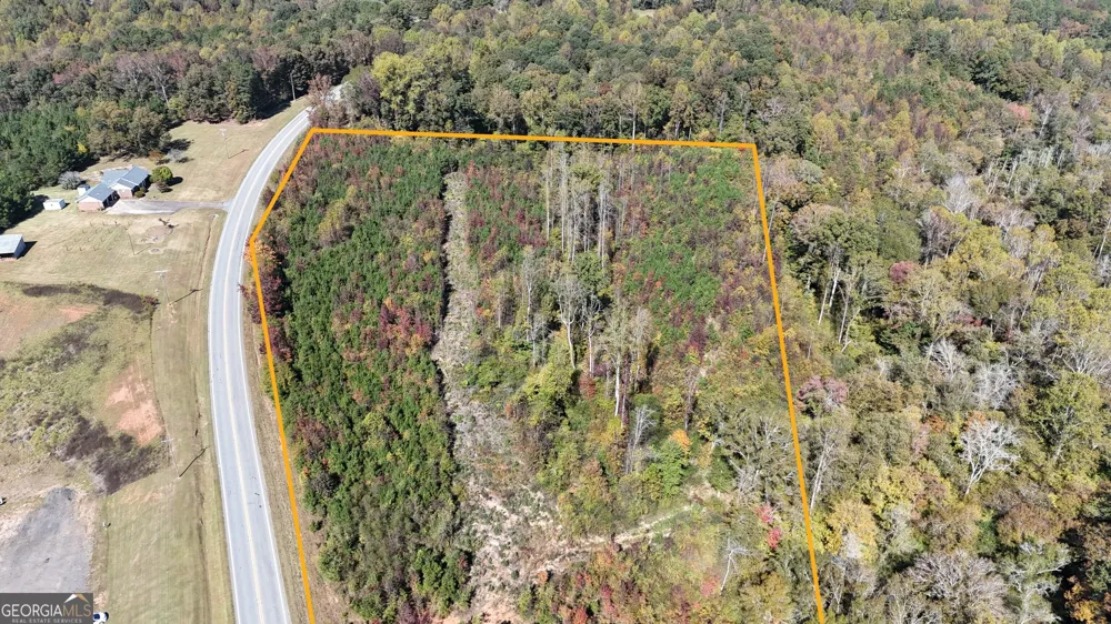 0 HWY 100 Bowdon, GA 30108
