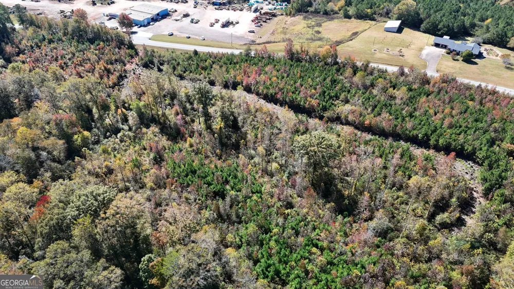 0 HWY 100 Bowdon, GA 30108