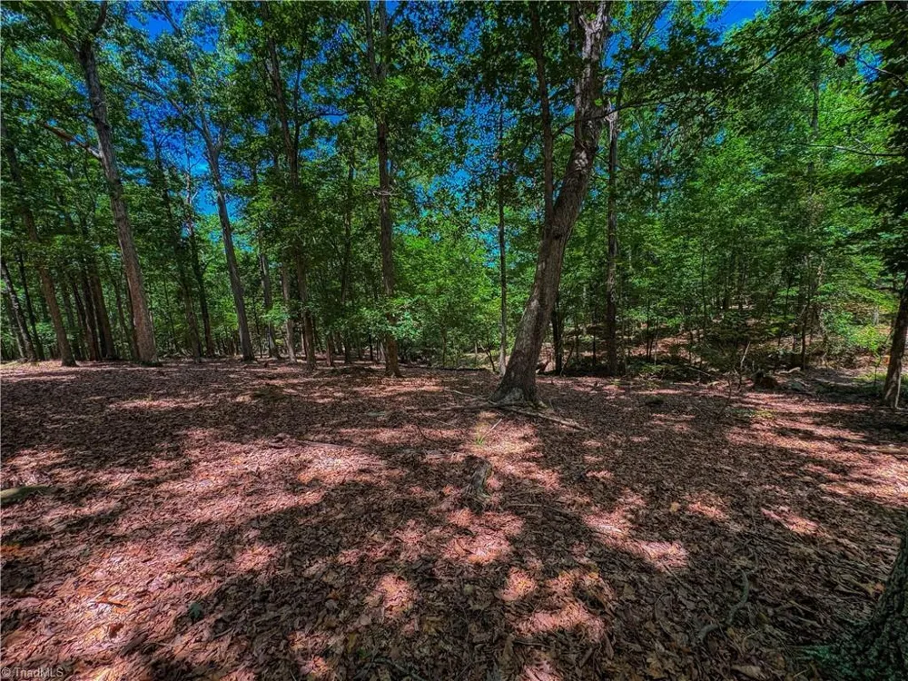 1560 Rocky Cove Lane Denton, NC 27239