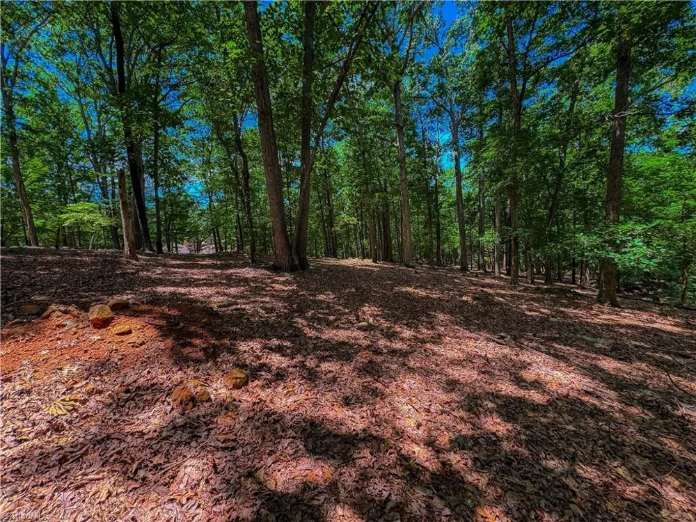 1560 Rocky Cove Lane Denton, NC 27239