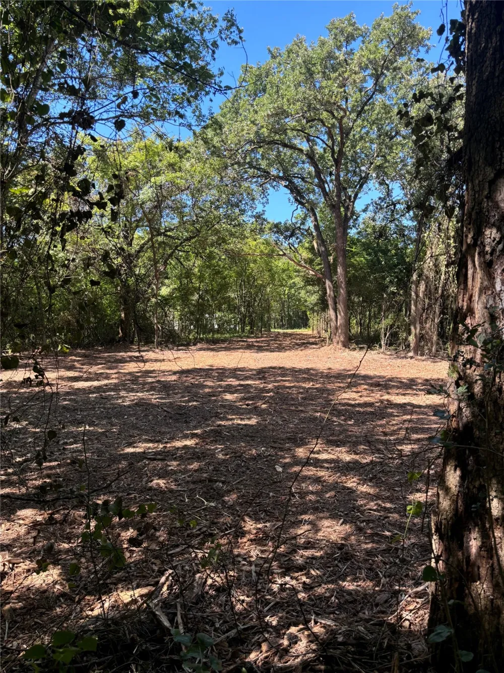 Triple N Ranch Road Trinidad, TX 75163