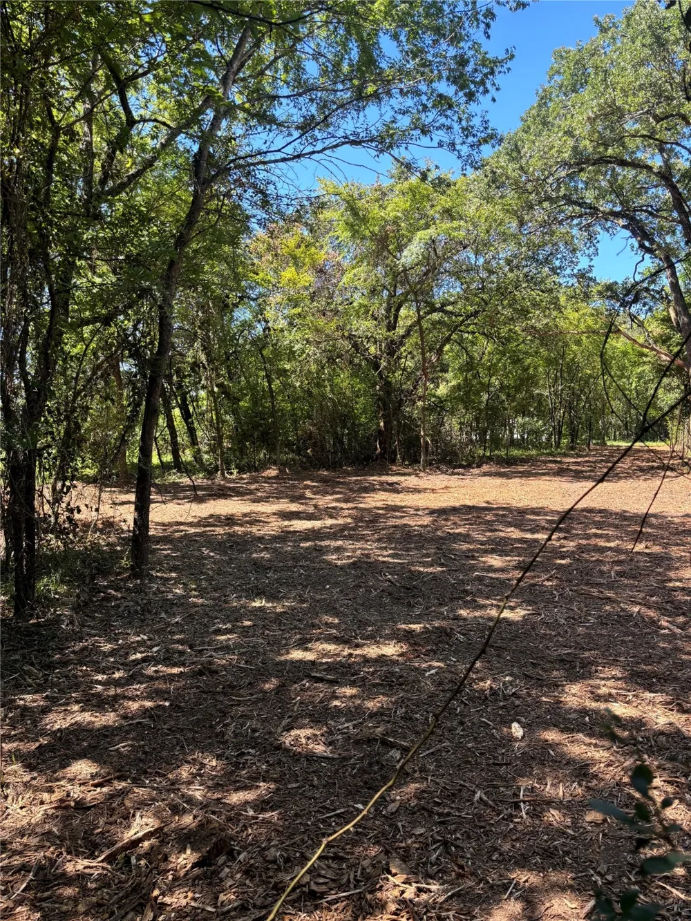 Triple N Ranch Road Trinidad, TX 75163