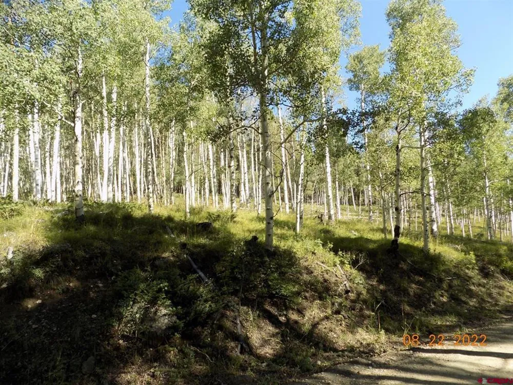 USFS RD 763 ROAD Pitkin, CO 81241