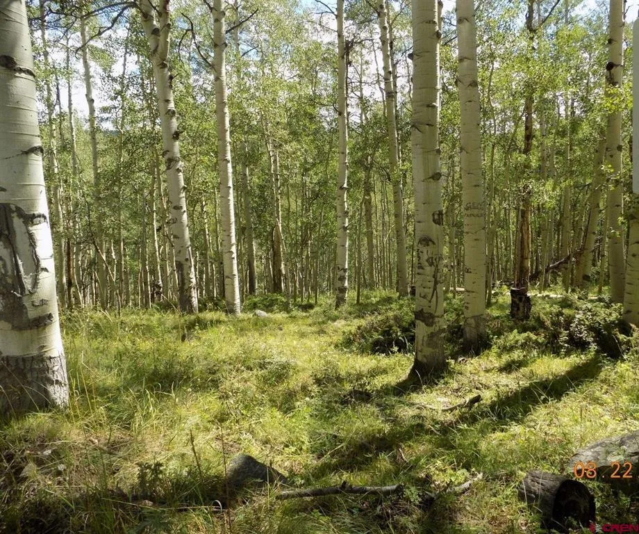 USFS RD 763 ROAD Pitkin, CO 81241