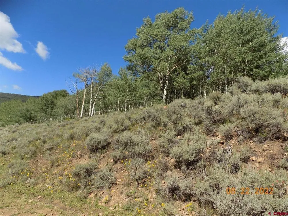 USFS RD 763 ROAD Pitkin, CO 81241
