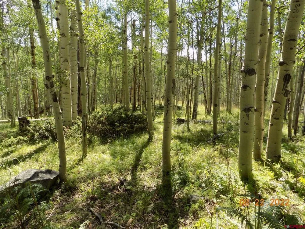 USFS RD 763 ROAD Pitkin, CO 81241