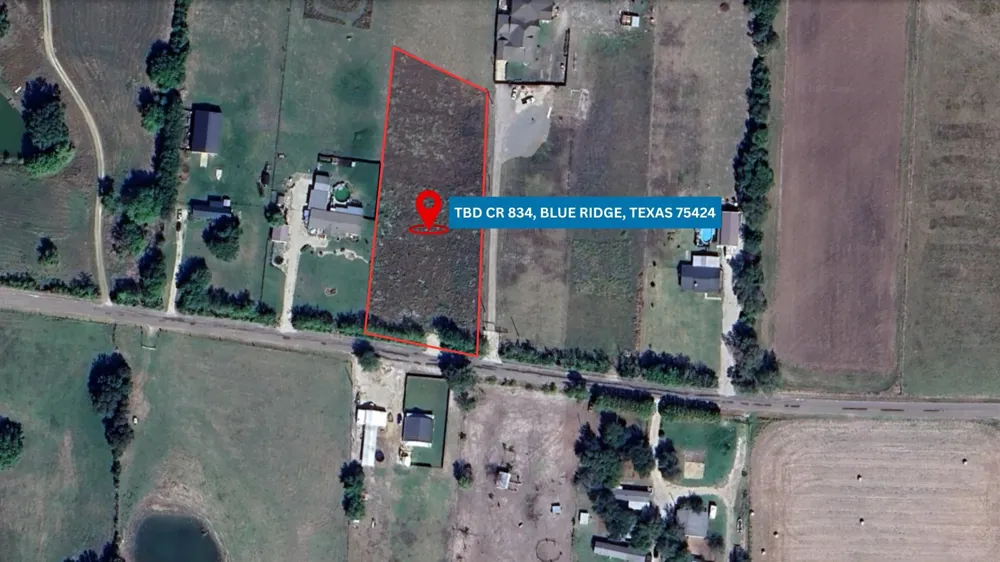 CR 834 Blue Ridge, TX 75424