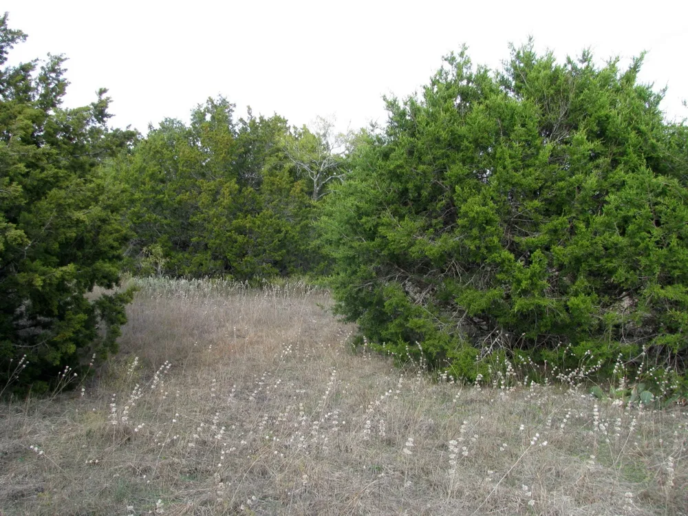 County Road 421 Evant, TX 76566