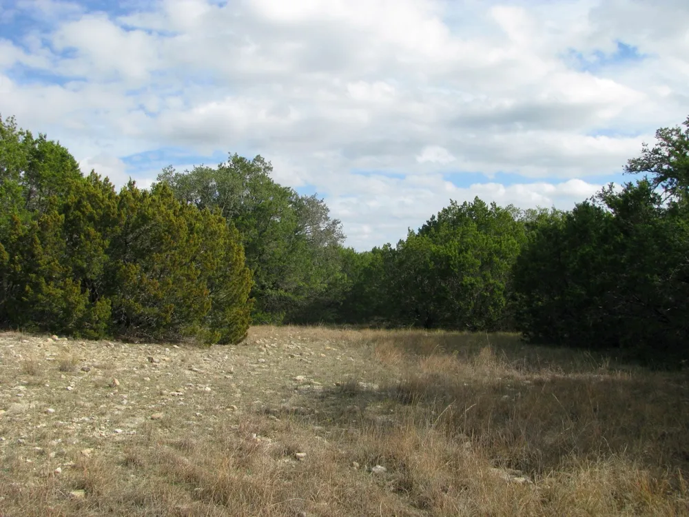 County Road 421 Evant, TX 76566