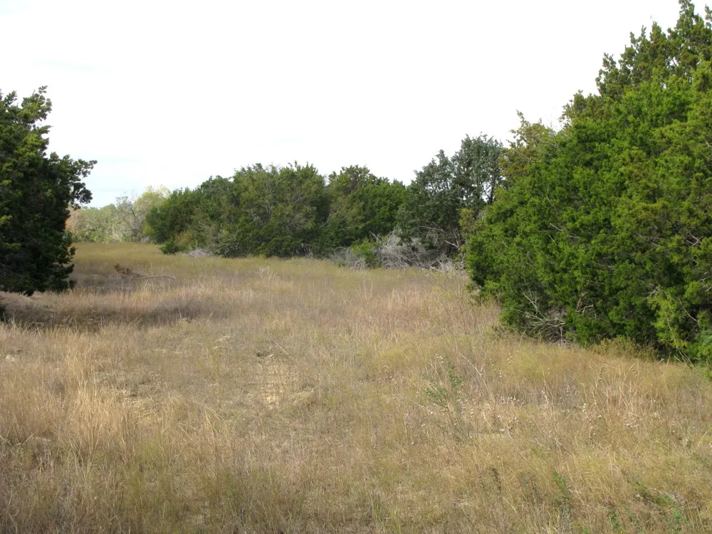 County Road 421 Evant, TX 76566