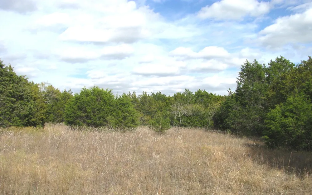 County Road 421 Evant, TX 76566