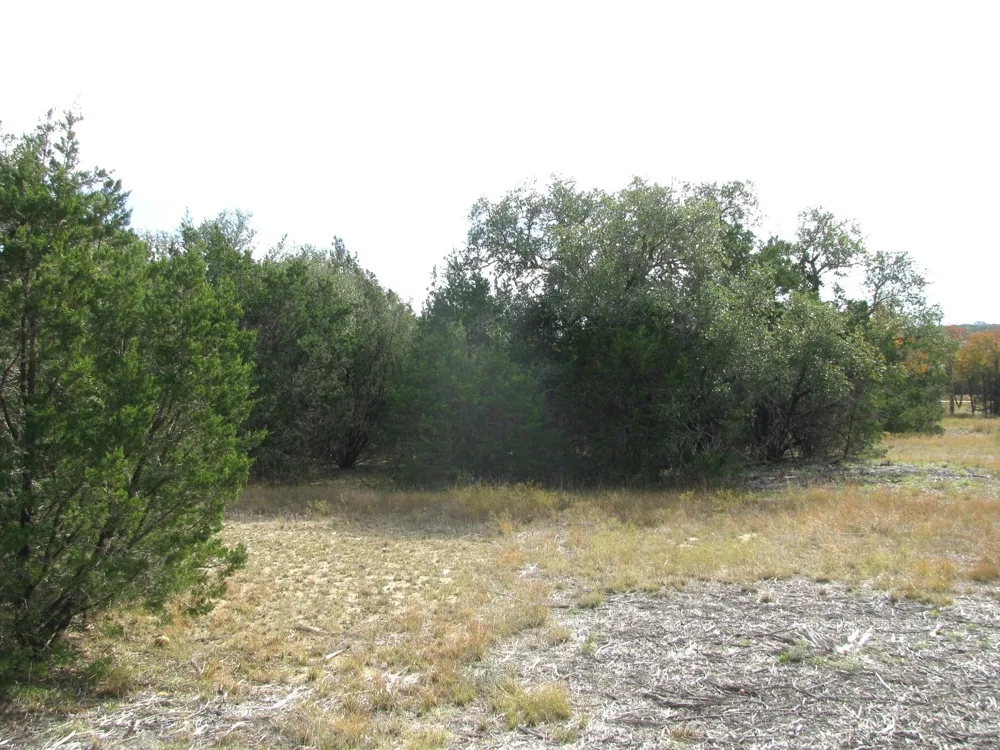 County Road 421 Evant, TX 76566