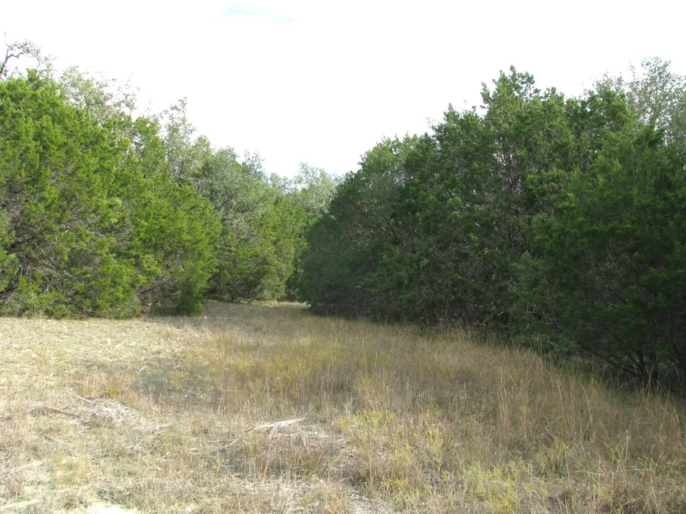 County Road 421 Evant, TX 76566