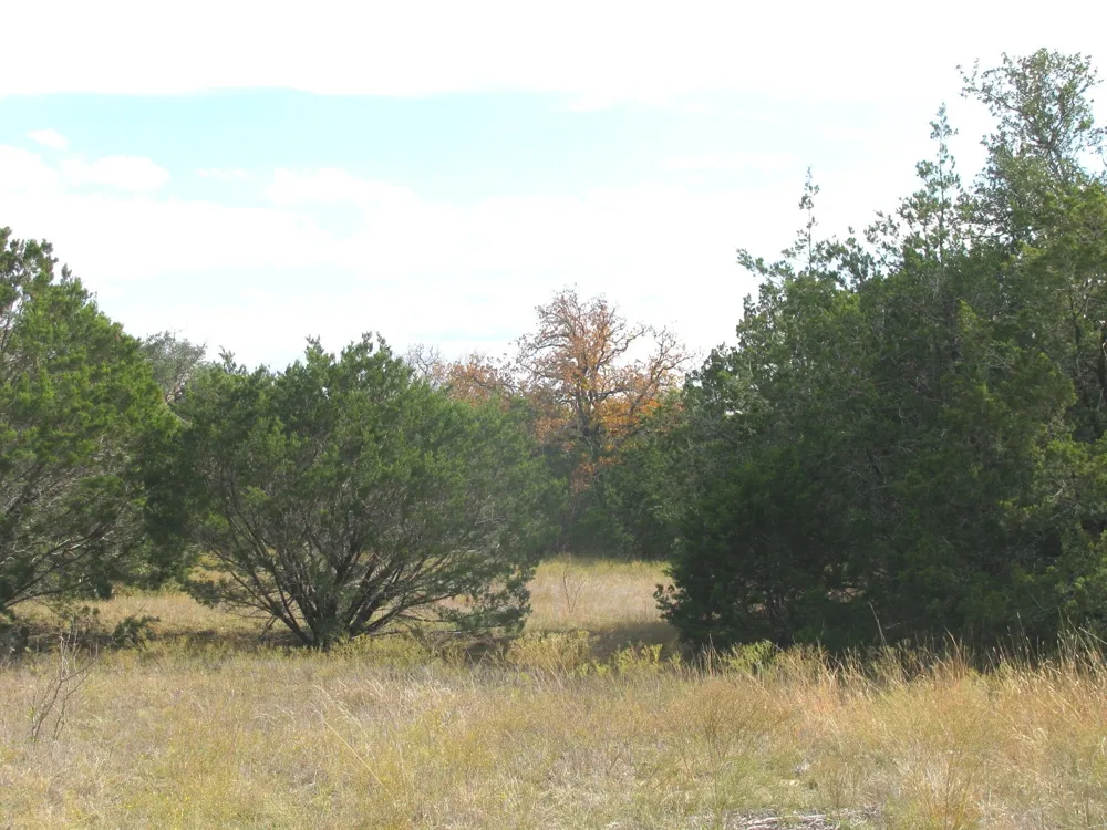 County Road 421 Evant, TX 76566
