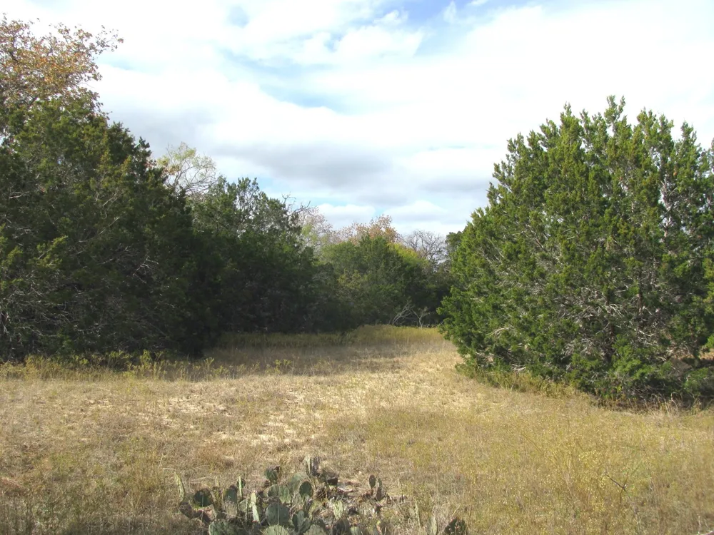 County Road 421 Evant, TX 76566