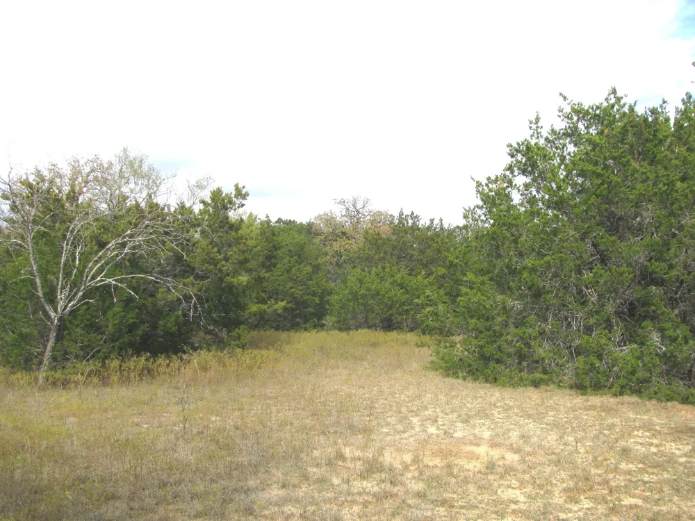 County Road 421 Evant, TX 76566