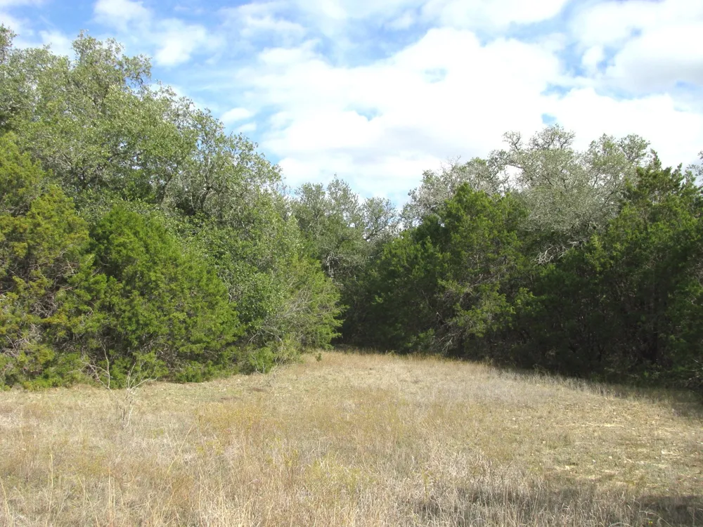 County Road 421 Evant, TX 76566
