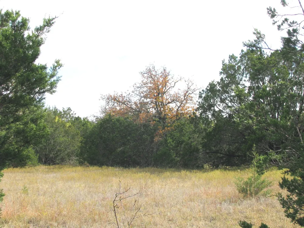 County Road 421 Evant, TX 76566