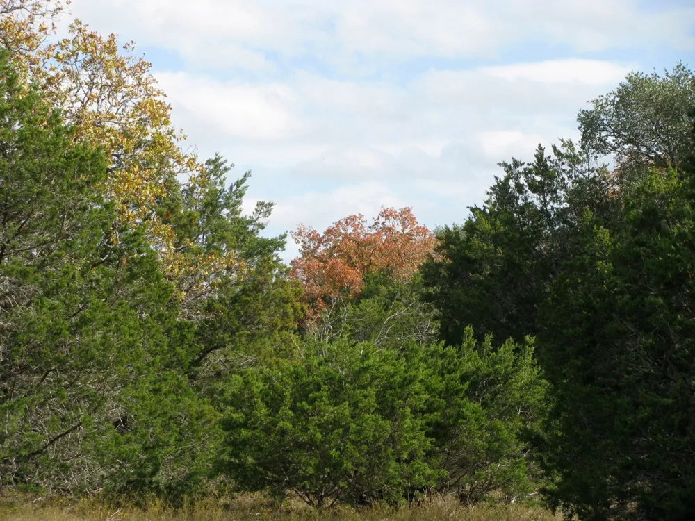 County Road 421 Evant, TX 76566
