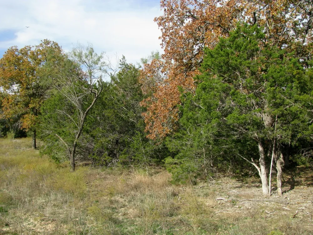 County Road 421 Evant, TX 76566