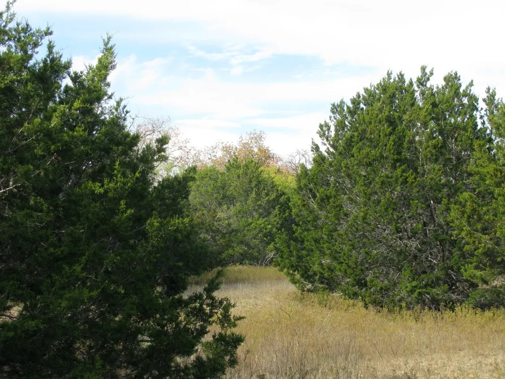 County Road 421 Evant, TX 76566