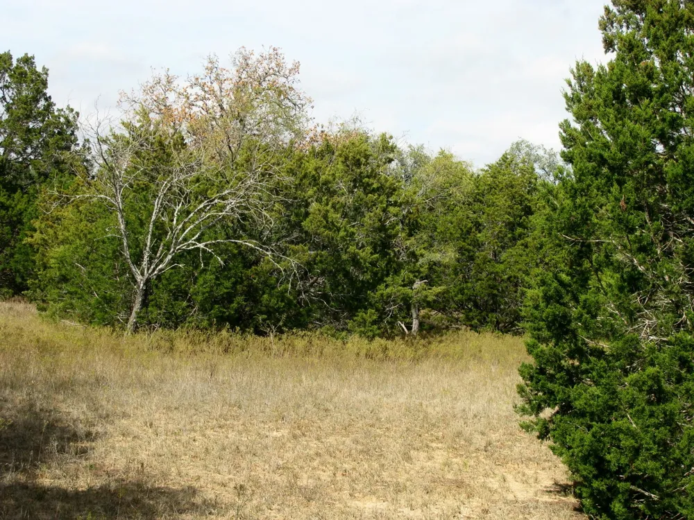 County Road 421 Evant, TX 76566