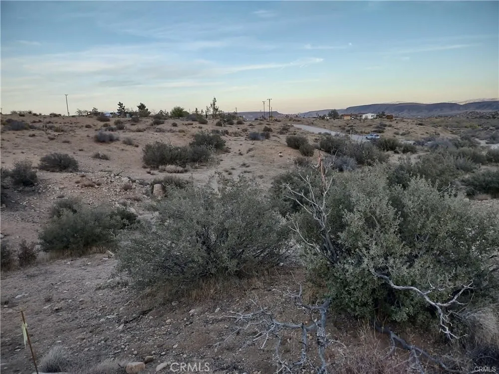 50565 BURNS CANYON ROAD Pioneertown, CA 92252