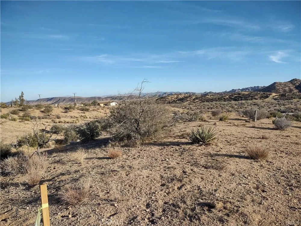 50565 BURNS CANYON ROAD Pioneertown, CA 92252