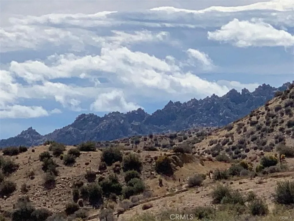 50565 BURNS CANYON ROAD Pioneertown, CA 92252