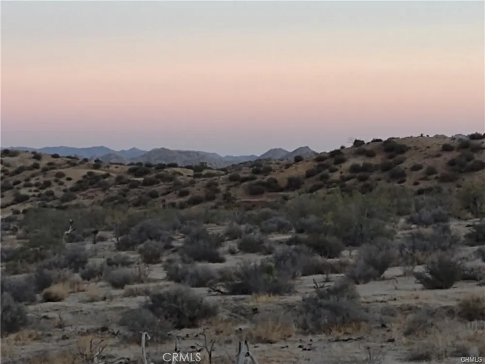 50565 BURNS CANYON ROAD Pioneertown, CA 92252