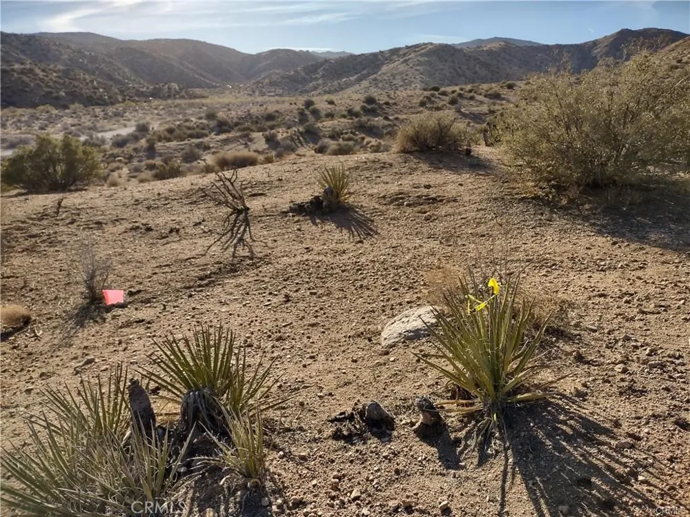 50565 BURNS CANYON ROAD Pioneertown, CA 92252