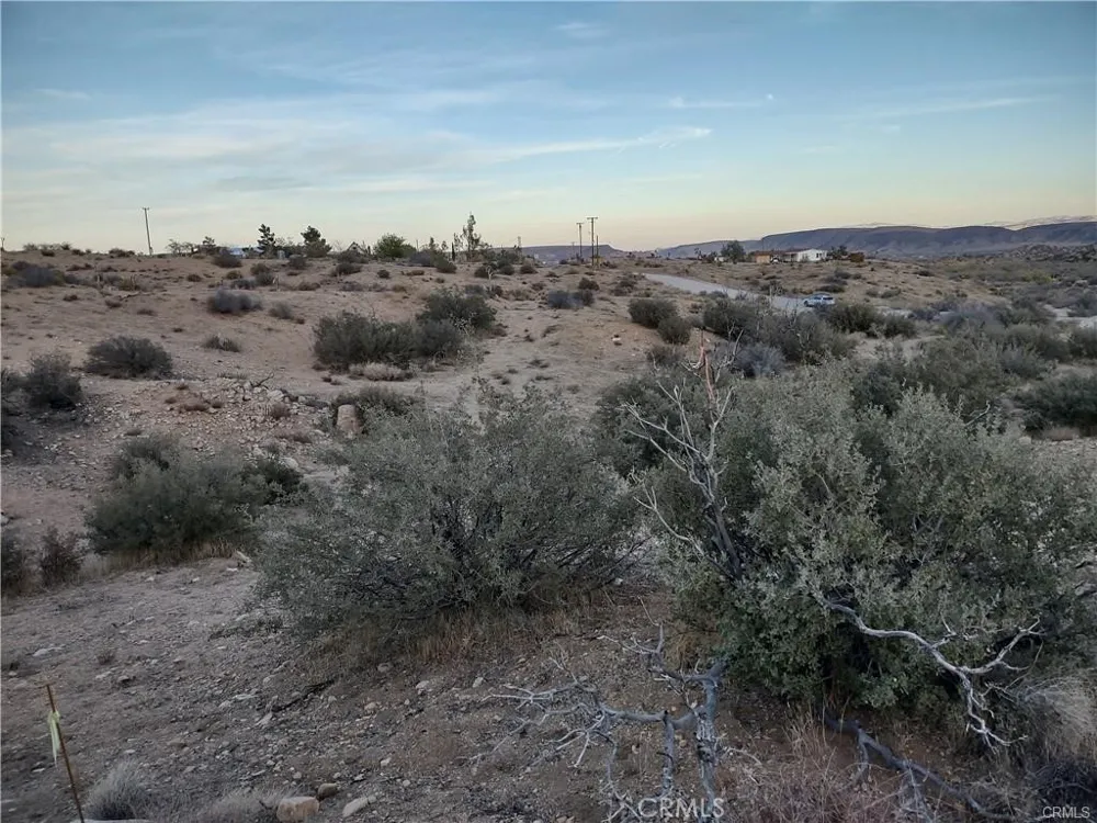 50565 BURNS CANYON ROAD Pioneertown, CA 92252