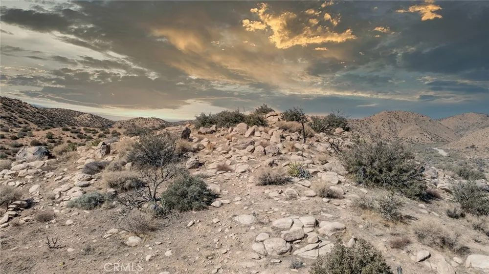 50565 BURNS CANYON ROAD Pioneertown, CA 92252