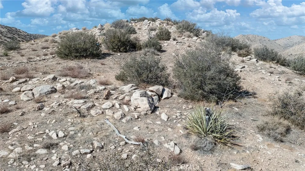 50565 BURNS CANYON ROAD Pioneertown, CA 92252