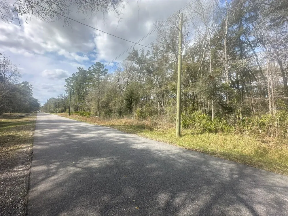 4840 FLAGLER ESTATES BOULEVARD Hastings, FL 32145