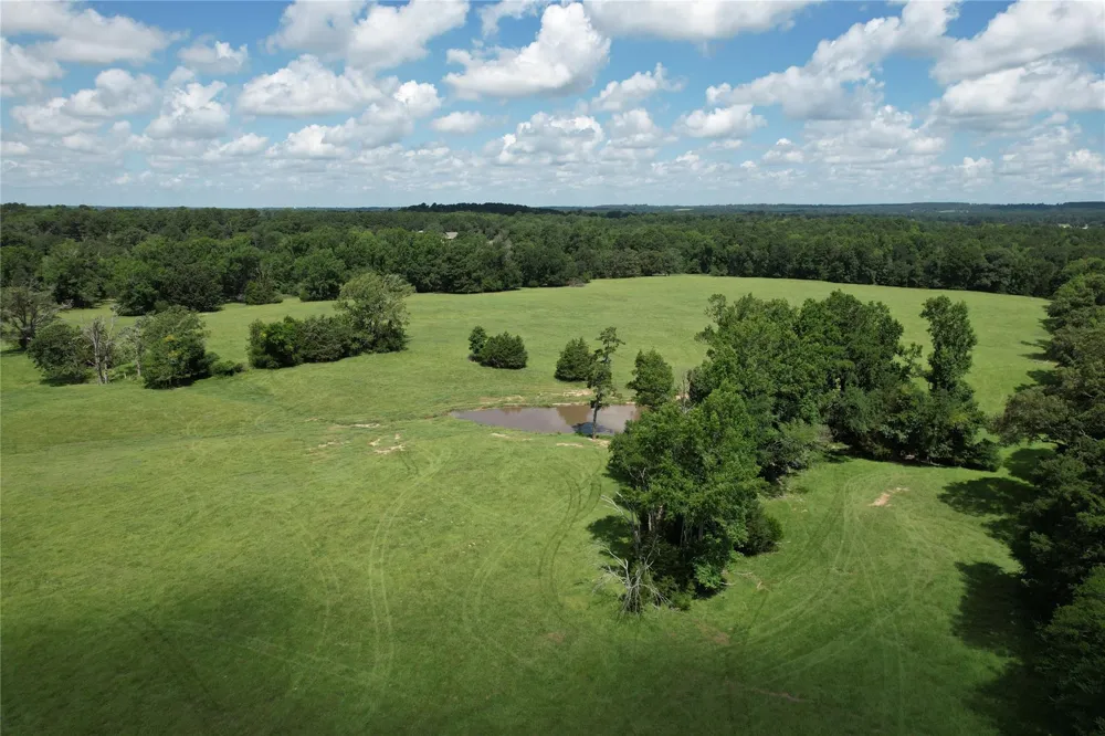 219 Acr 185 Elkhart, TX 75839
