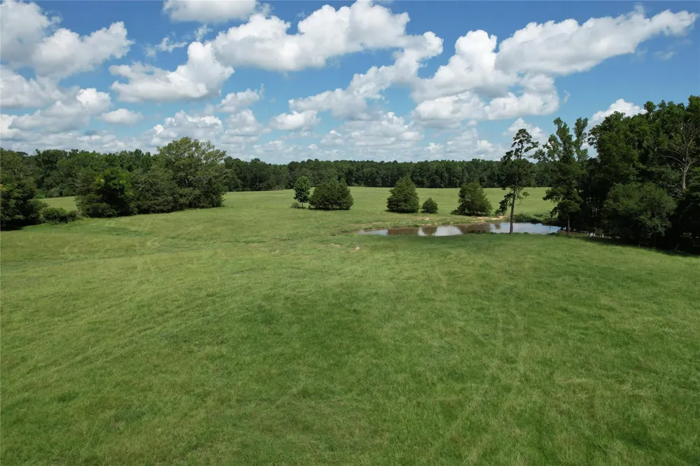 219 Acr 185 Elkhart, TX 75839