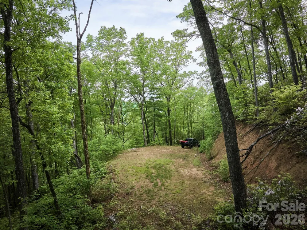 0 Holly House Road Bryson City, NC 28713