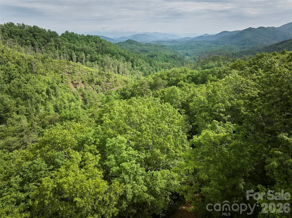 0 Holly House Road Bryson City, NC 28713