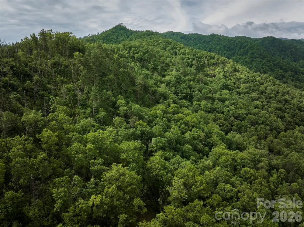 0 Holly House Road Bryson City, NC 28713