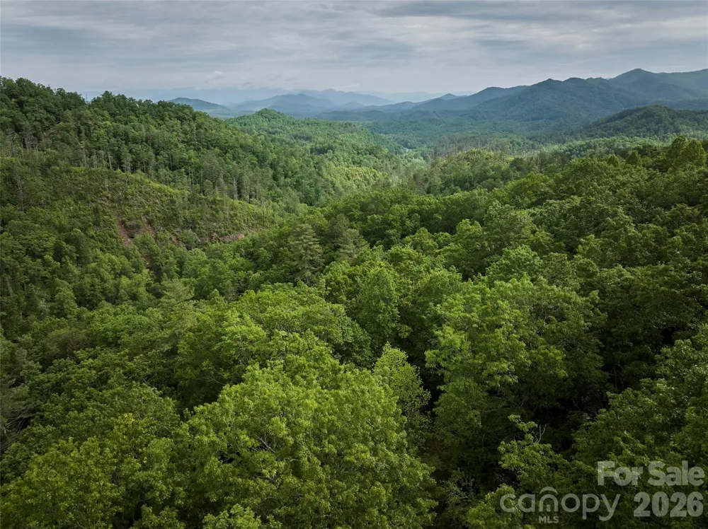 0 Holly House Road Bryson City, NC 28713