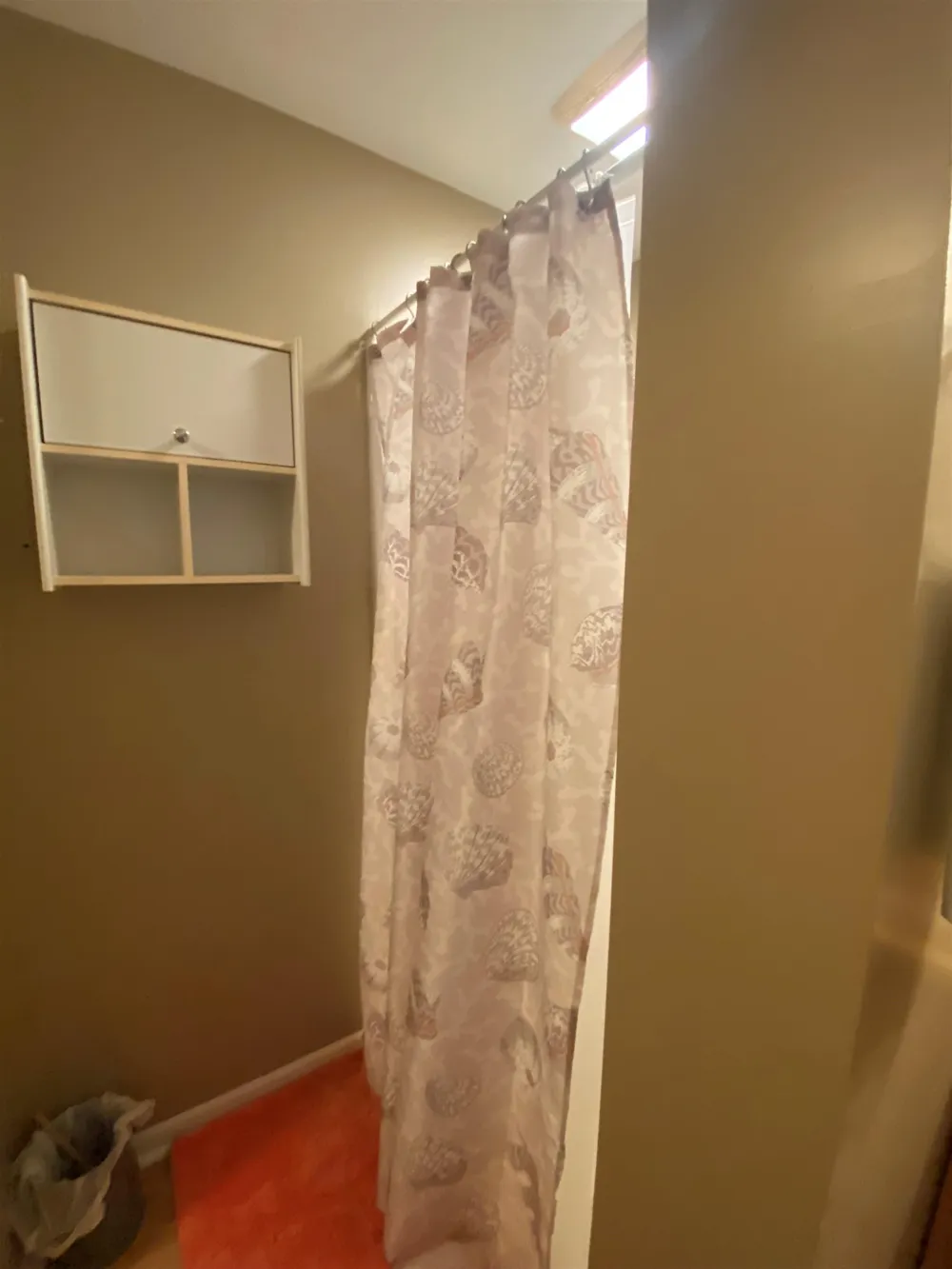 209 Pine Street Lake City City, MI 49651