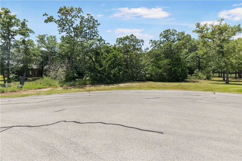 10223 Cambridge Drive Iola, TX 77861