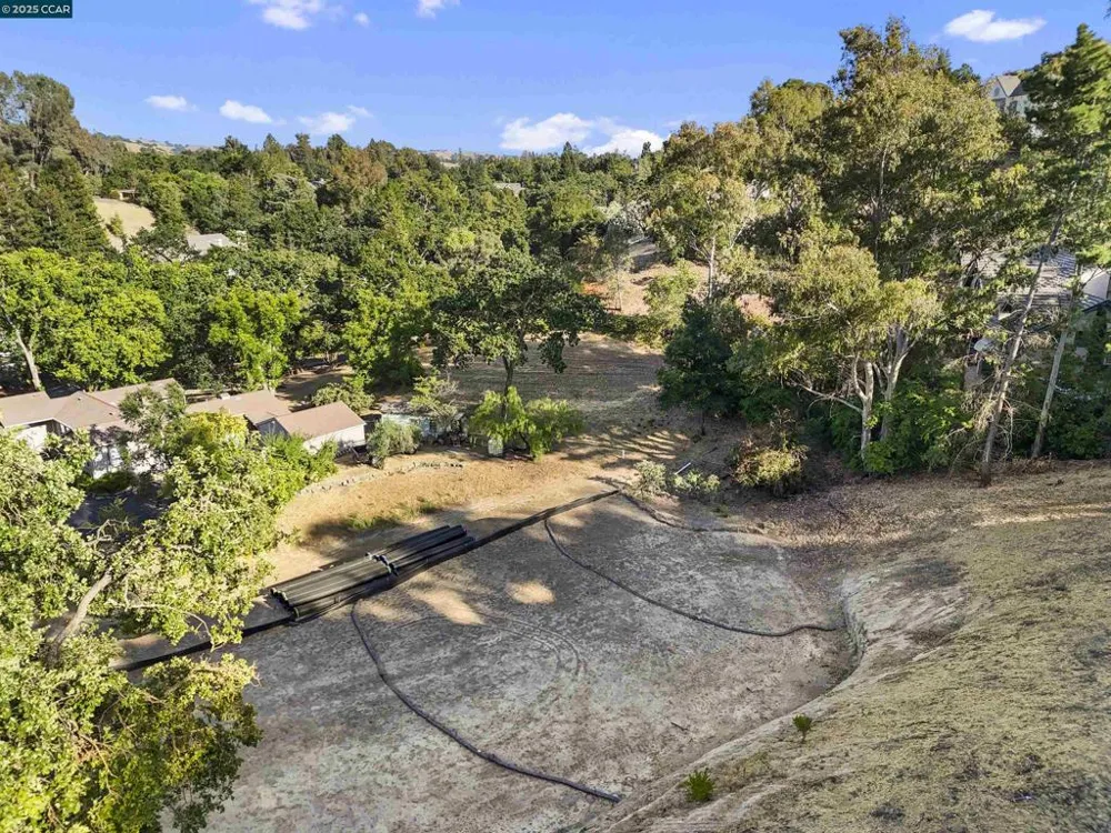 221 Dean Rd Alamo, CA 94507