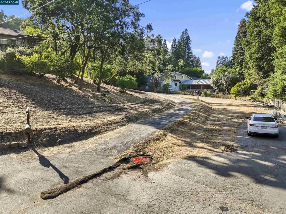 221 Dean Rd Alamo, CA 94507